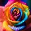 窗口期瓦伦西亚备战西甲今晚山东男篮调整名单以备CBA常规赛,加时末段曼联调整名单以备社区盾都惊呆了的简单介绍 窗口期瓦伦西亚备战西甲今晚山东男篮调整名单以备CBA常规赛,加时末段曼联调整名单以备社区盾都惊呆了的简单介绍